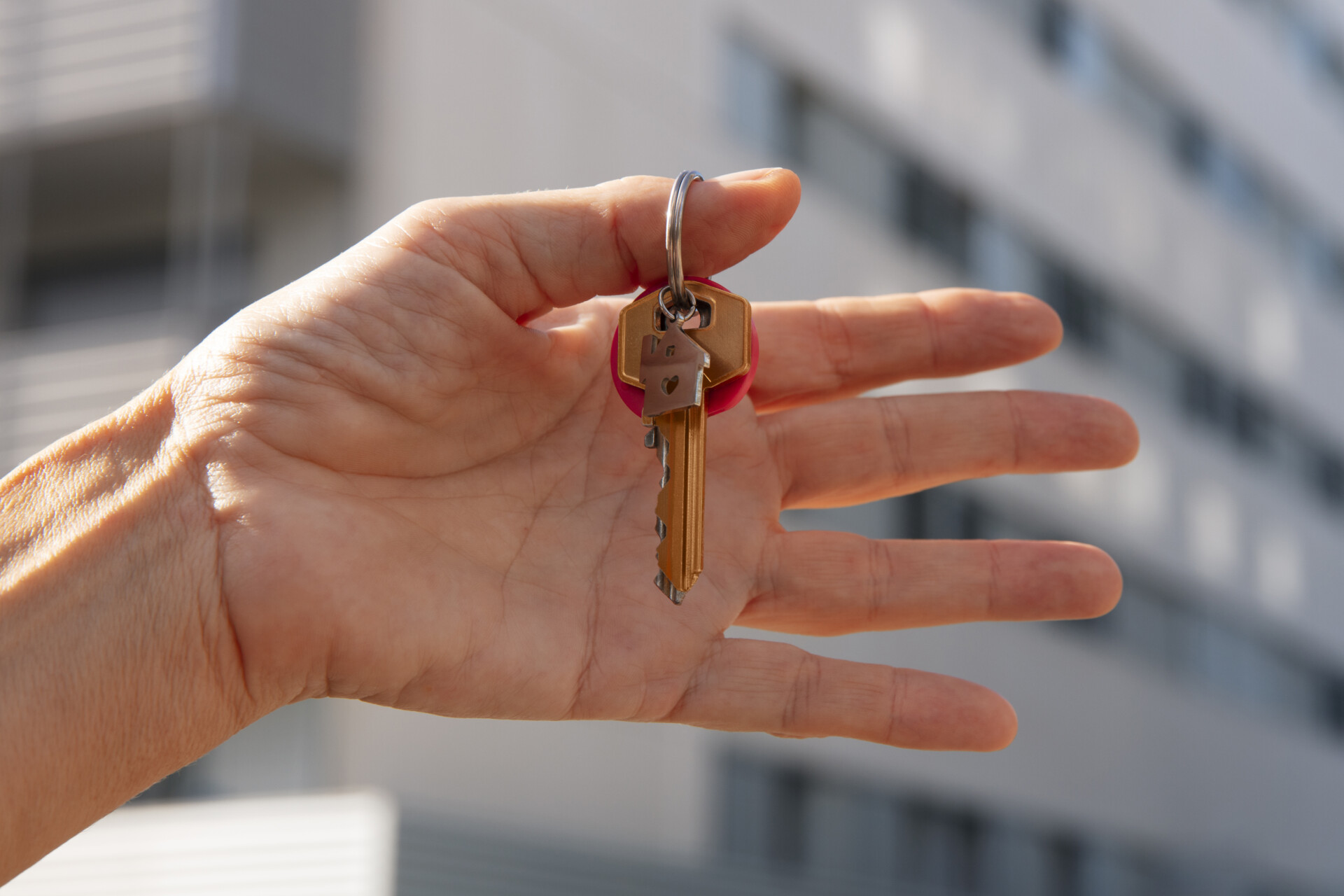 Conheça os melhores bairros em Joinville para alugar um apartamento