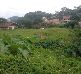 Terreno em Joinville, Floresta